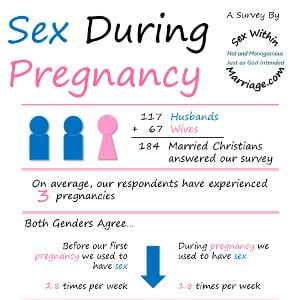 Sex During Pregnancy Infographic