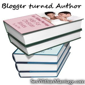 BloggerTurnedAuthor