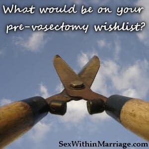 What would be on your prevasectomy wishlist