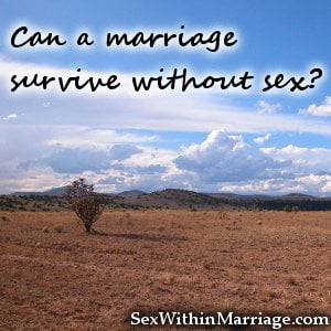 Can a marriage survive without sex
