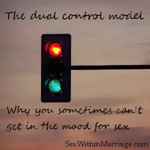 The dual control model – Why you sometimes can’t get in the mood for sex