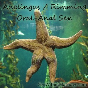 Analingus, Rimming, Oral-Anal Sex