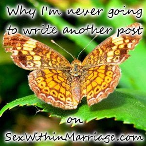 why-im-never-going-to-write-another-post-on-sexwithinmarriage-com-card