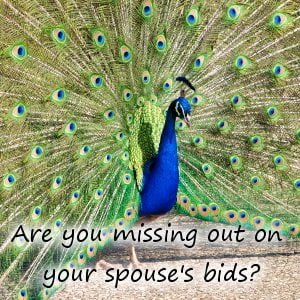 are-you-missing-out-on-your-spouses-bids-300