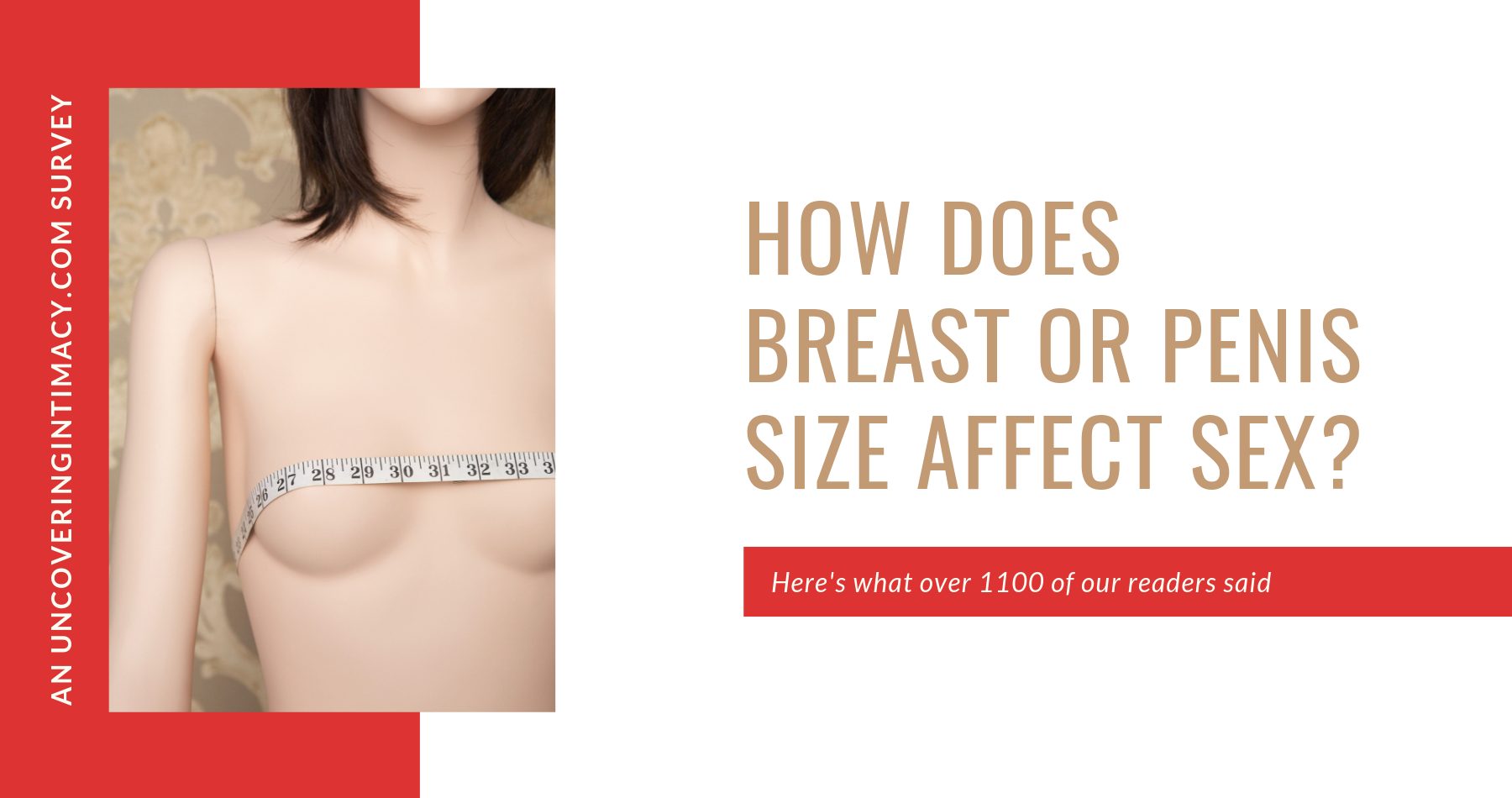 How does breast or penis size affect sex?