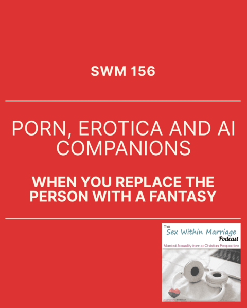 SWM 156 - Porn, erotica and AI Companions - When you replace the person with a fantasy